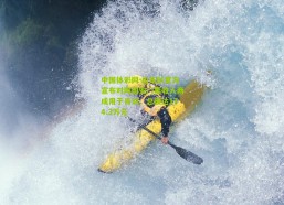 中国体彩网-山东队官方宣布对阵国安门票收入两成用于青训，总额达174.3万元