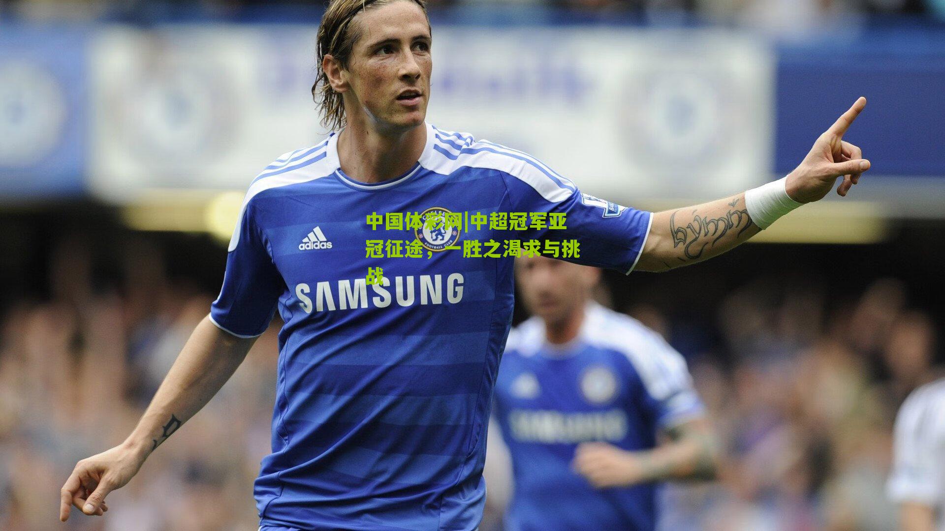 中超冠军亚冠征途，一胜之渴求与挑战